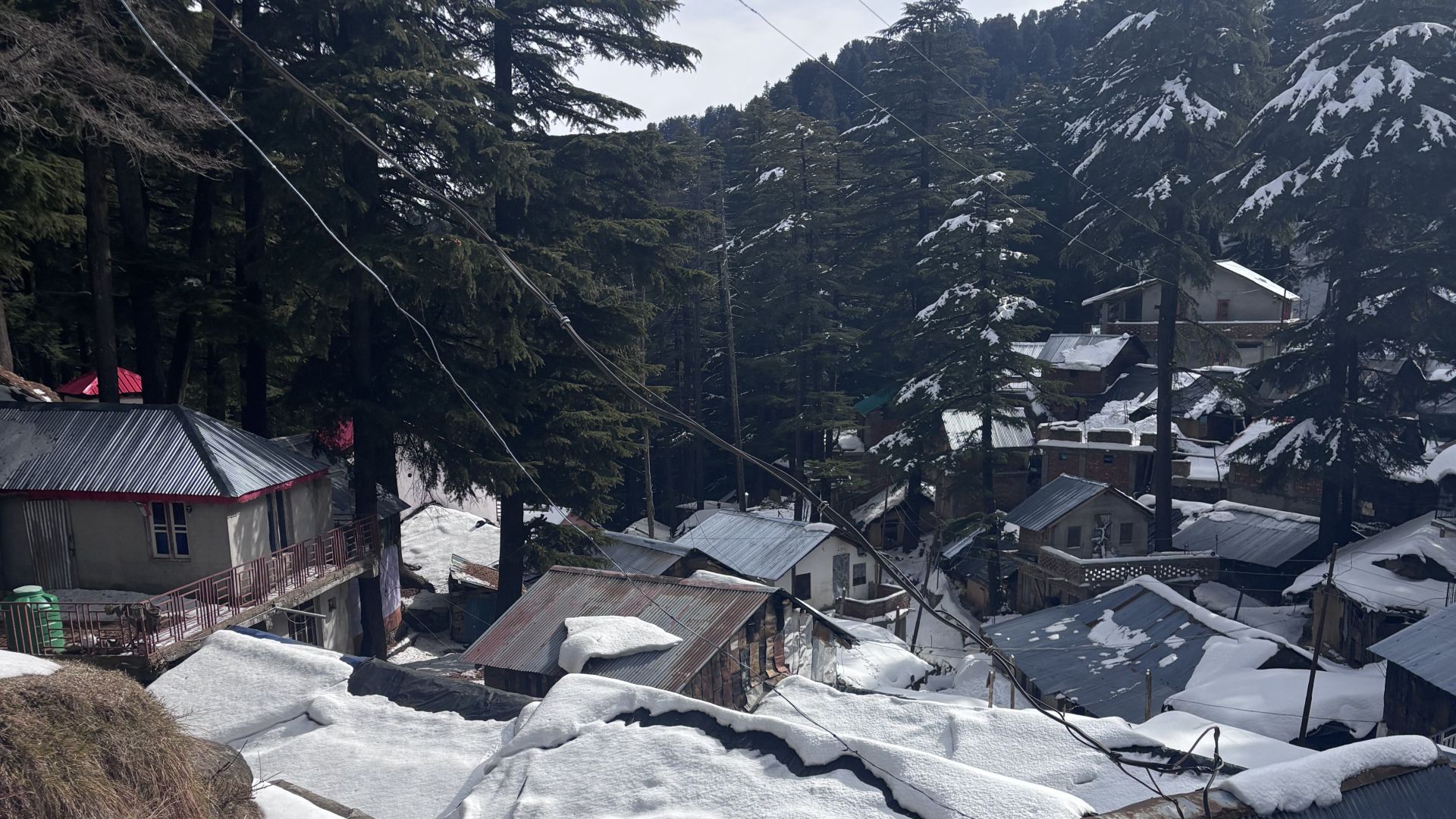 Nature View Image
